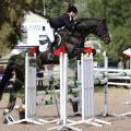 Sandro Hit Progeny Stand Out at Rio Olympics